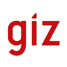 GIZ logo